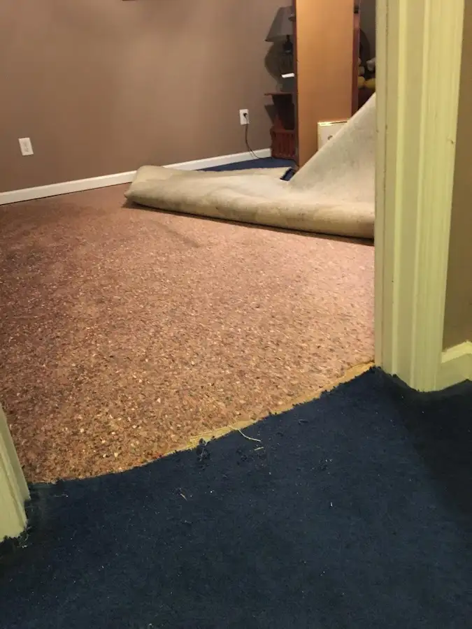 Carpet pad removal revealing water damage during Water Mitigation Services in Wallingford