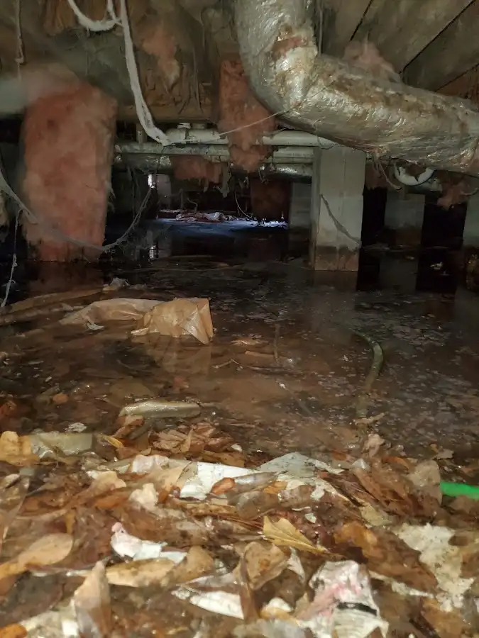 Crawl space flood assessment for Commercial Water Damage Restoration in Wallingford