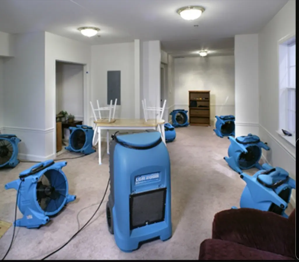 Air movers and dehumidifier setup for Water Extraction & Removal in Wallingford