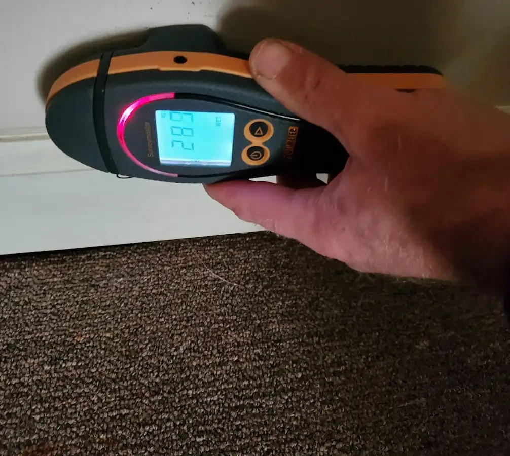 Moisture detection at baseboard during Mold Inspection & Testing in Wallingford